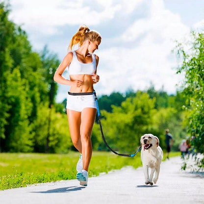 Laisse chien main libre en action