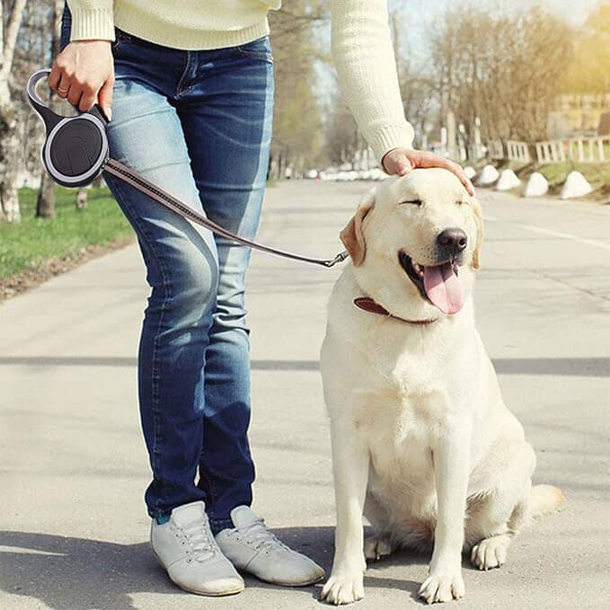Laisse de chien - MaxLeash™ - Noir - Chien à l'honneur