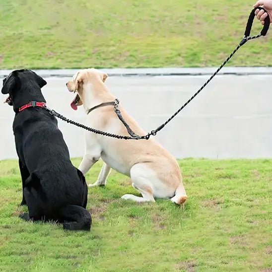 Laisse double pour chien | Réfléchissante - Chien à l'honneur