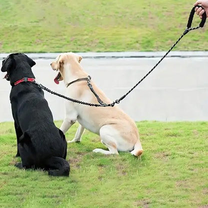 Laisse double pour chien | Réfléchissante - Chien à l'honneur