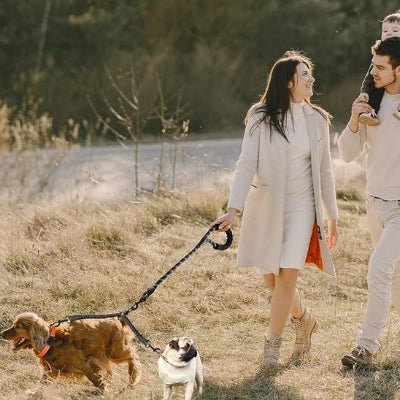 Laisse double pour chien Reflechissante tialle moyenne et petite