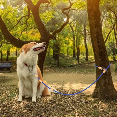 Laisse pour chien | polyvalente - Chien à l'honneur