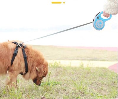 Laisse pour chien | Rétractable - Chien à l'honneur