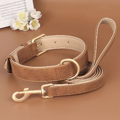 laisse pour chien cuir moelleux agencement laisse et collier 