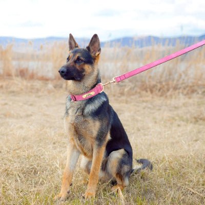 laisse pour chien cuir moelleux berger dans le champs