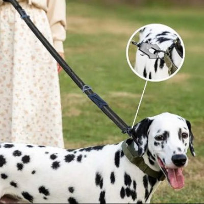 laisse pour chien elastique noir dalmatien