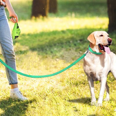 laisse pour chien reflective 3 avec labrador