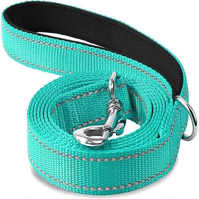 laisse pour chien reflective 3 turquoise