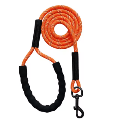 Longe chien orange