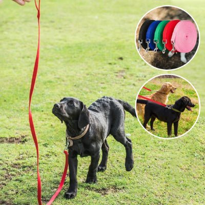 Longe pour chien | Nylon - Chien à l'honneur