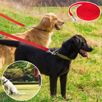 Longe pour chien | Nylon - Chien à l'honneur