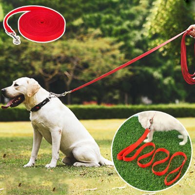 Longe pour chien | Nylon - Chien à l'honneur