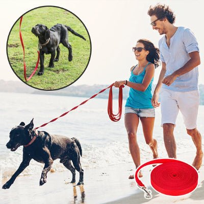 Longe pour chien | Nylon - Chien à l'honneur