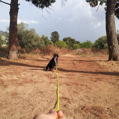 Longe pour chien | PVC 2 - Chien à l'honneur