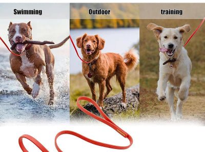 Longe pour chien | PVC 2 - Chien à l'honneur