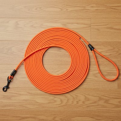 longes chien orange variante