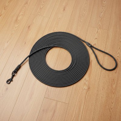 longes chien noir variante