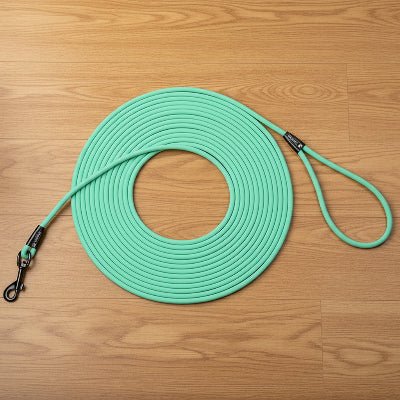 longes chien turquoise variante