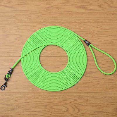 longes chien vert variante