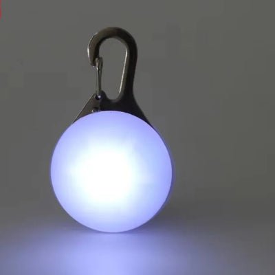 lumière collier chien blanc 