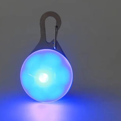 lumière collier chien bleu 