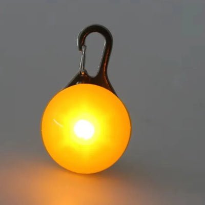 lumière collier chien jaune 