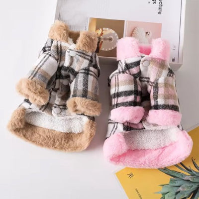 Manteau chien 2 varaintes