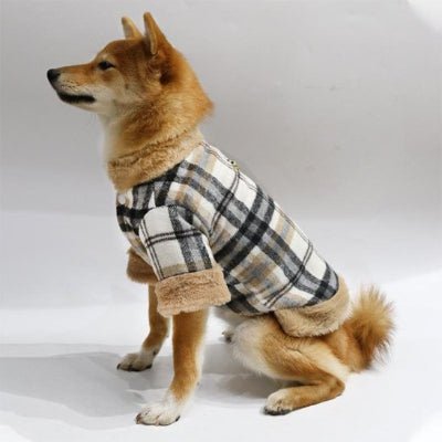 Manteau chien Brun