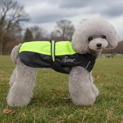 Manteau chien impermeable vert caniche