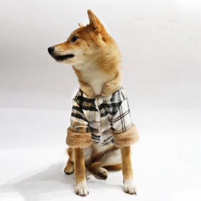 Manteau chien Top modele