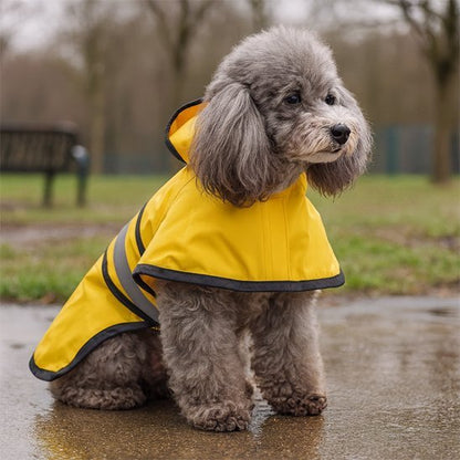 Manteau pour chien jaune caniche