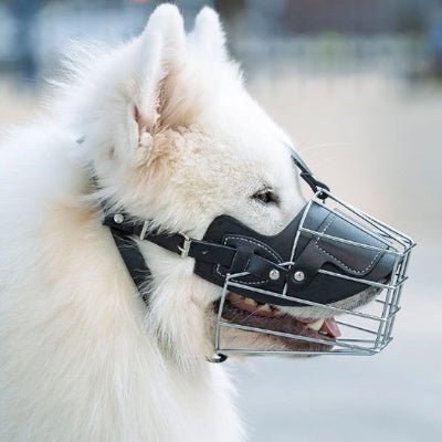 Museliere pour chien pratique