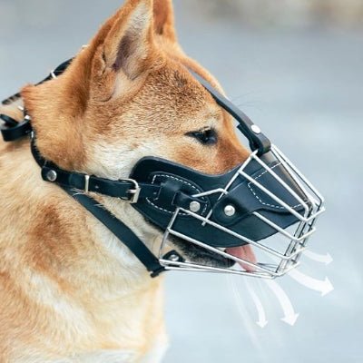 Museliere pour chien respirante