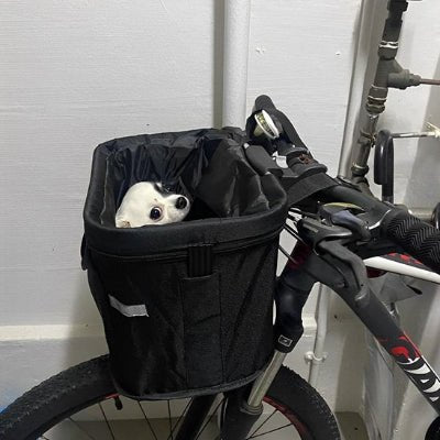 Panier velo chien chihuahua