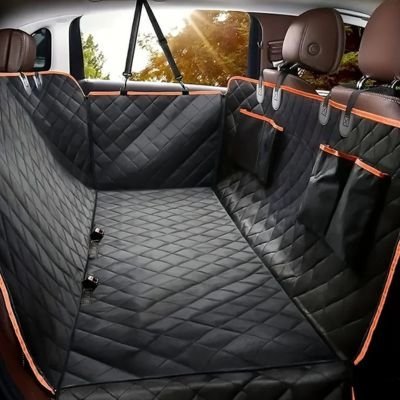 Protection voiture chien​ exemple