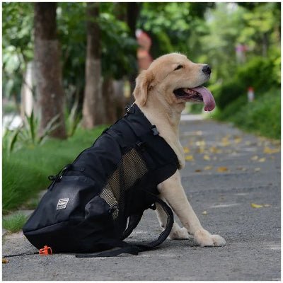 Sac a dos pour Chien noir variante