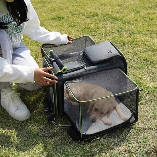 Sac de transport chien pratique