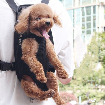 Sac de transport chien noir exemple