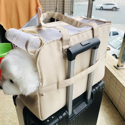 Sac transport chien beige valise