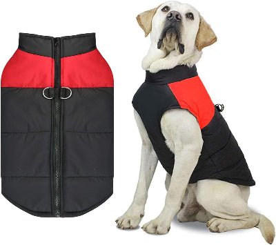 vetement chien rouge avec modele