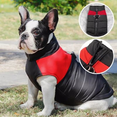 Vetement chien rouge fiche