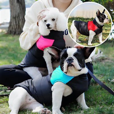 Vetement chien Bleu fiche